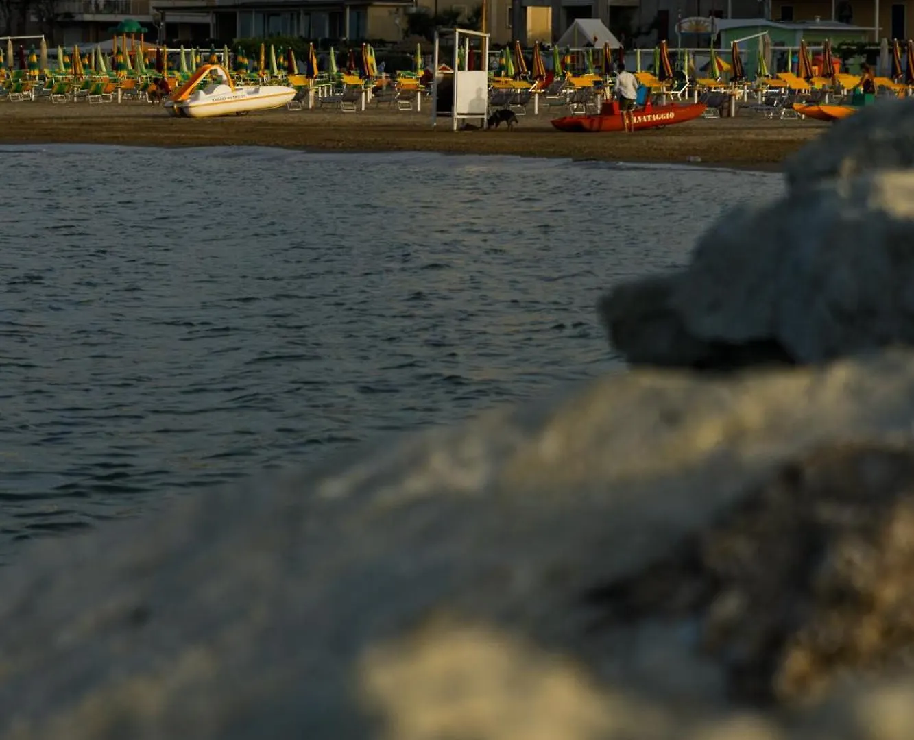 Hotel Albergo Roma Spiaggia Rimini
